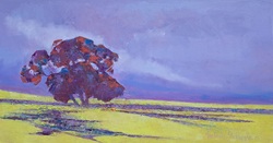 Canola Fields - Western Cape | 2025 | Oil on Canvas | 32 x 60 cm